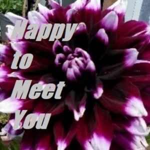 Meet your Posher, Melanie